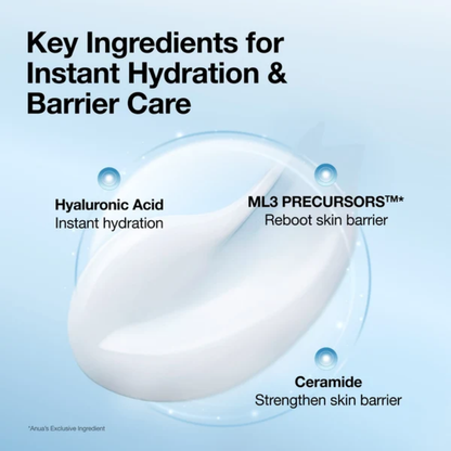ANUA Barrier Reboot Water Gel Cream 100ml